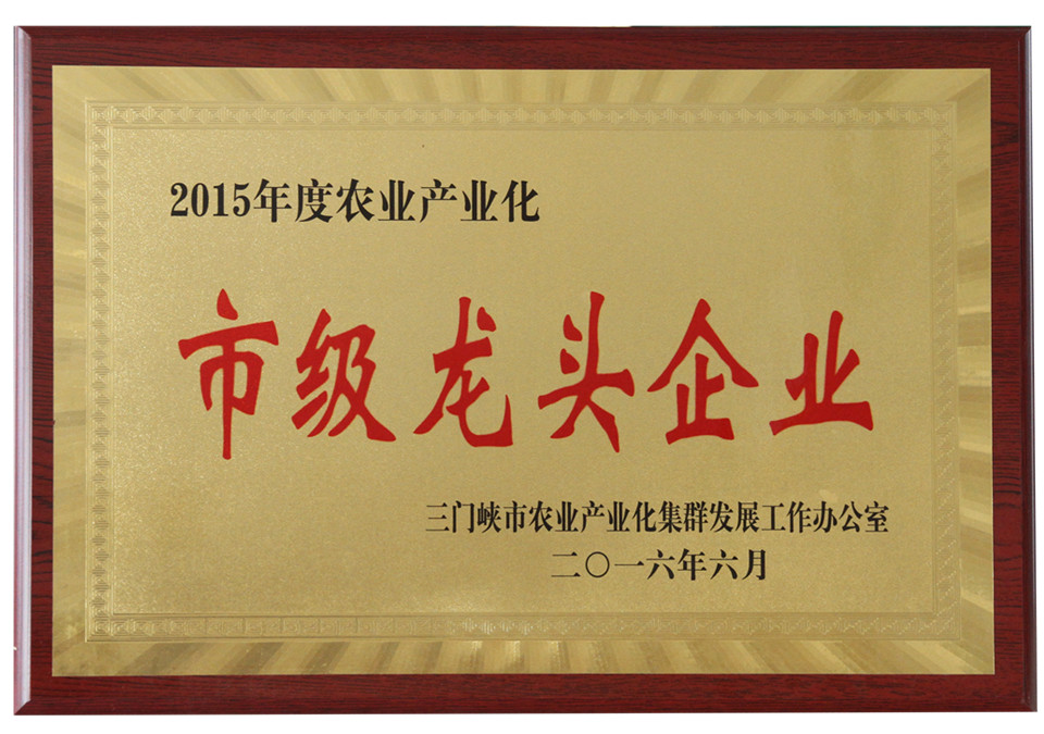 市級龍頭企業(yè)