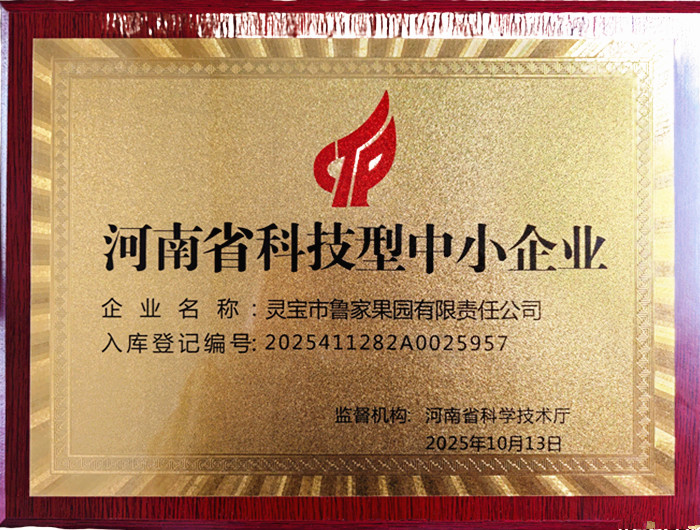 河南省科技型中小企業(yè)